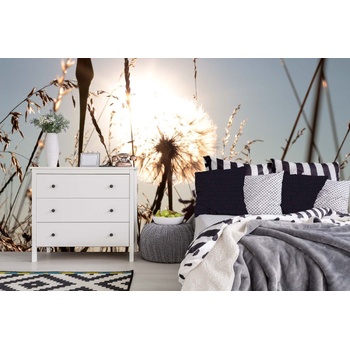 DIMEX ART s. r. o Самозалепваща се флизелинова фототапета глухарче в сиянието 375 x 250 см