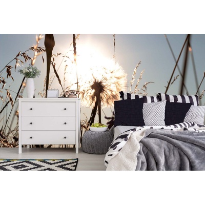 DIMEX ART Самозалепваща се флизелинова фототапета глухарче в сиянието 375 x 250 см