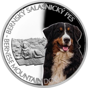 Česká mincovna Stříbrná mince Psí plemena Bernský salašnický pes proof 1 oz