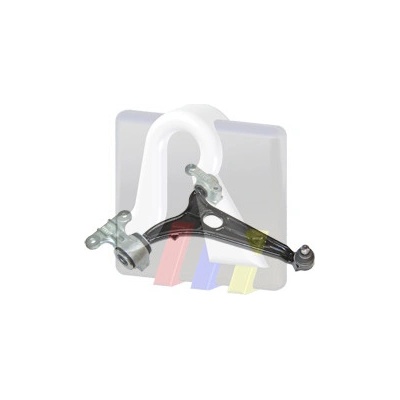 RTS Rameno zavesenia kolies 96901081