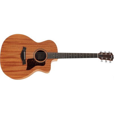 Taylor 24ce