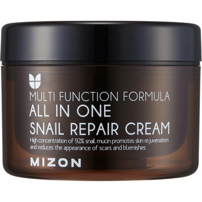 Mizon All In One Snail Repair Cream 120 ml