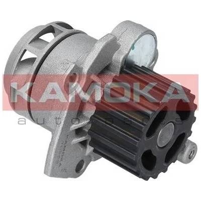 KAM-T0253