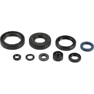 Sada gufer motoru ATHENA P400250400137