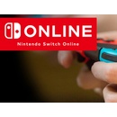 Nintendo Switch Online Individual členství 365 dní