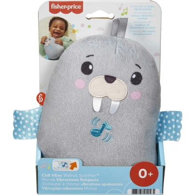 Fisher-Price Fisher Price ZRKADLO NA PLÁŽI S DETMI