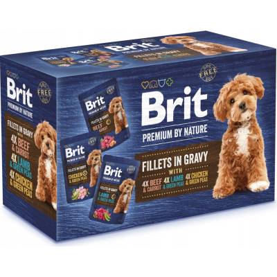 Brit mix chutí 12 x 85 g