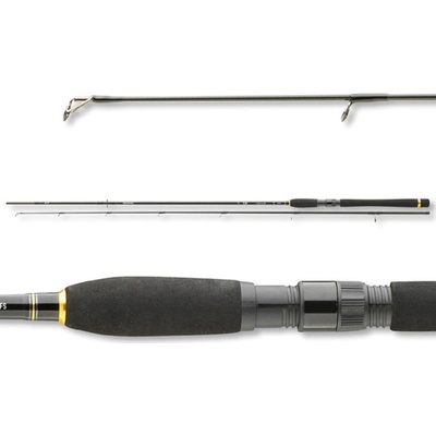 Daiwa Legalis Spin 2,4 m 10-30 g 2 díly