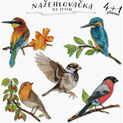 ePiPí Zvýhodněná sada nažehlovaček 4+1 - Ptáci