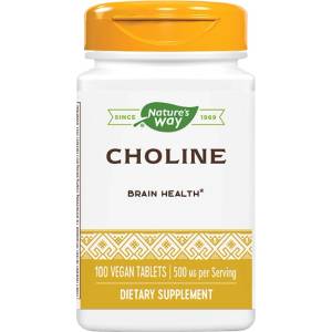 Nature's Way Choline 500 mg [100 Таблетки]