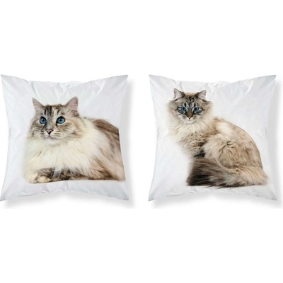 Detexpol Mačka modroočko 40 x 40 cm