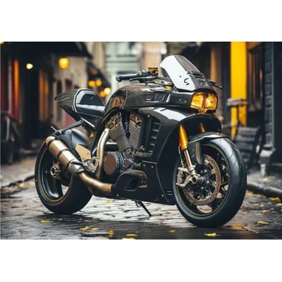 Dino - Puzzle Motorbike - 500 piese