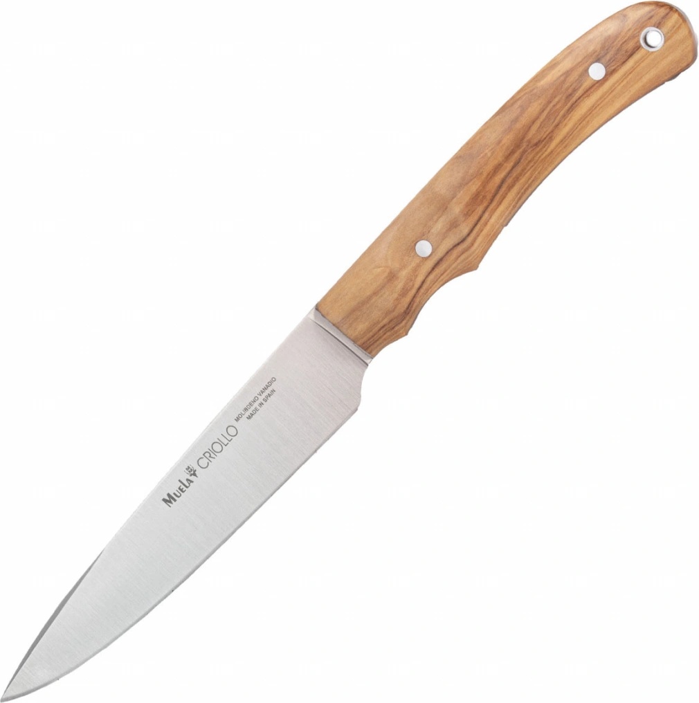 Muela Criollo 14OL