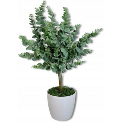 Eukalyptus v květináči 58 cm Květiny v květináči do domu Dekorace do kanceláře