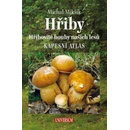 Hřiby