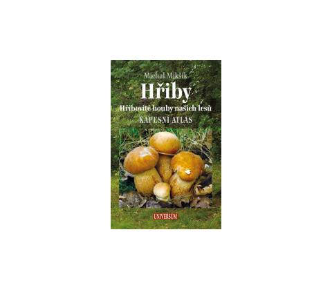 Hřiby