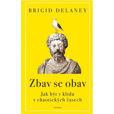 Zbav se obav - Brigid Delaney