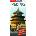Peking