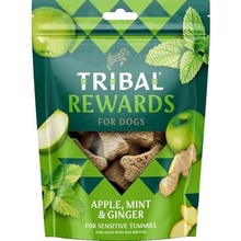 Tribal Snack Apple Mint & Ginger 125 g