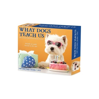What Dogs Teach Us 5.4 X 6.2 Box 2026