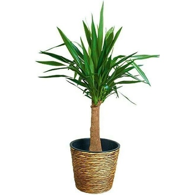 A.H.G. Obal na kvetináč ø 30 cm 26 cm plast prírodný 1-15910070-B