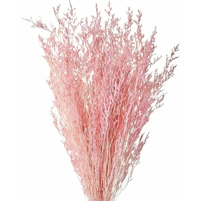 Limonium/Limonka stabilizovaná světle růžová svazek 50g