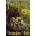 Fablehaven Mull BrandonPaperback