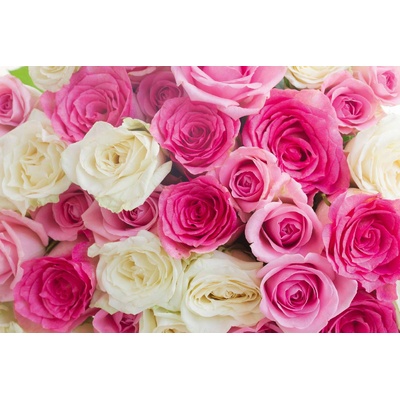 DIMEX ART Флизелинов фототапет розови и бели рози 375 x 250 см