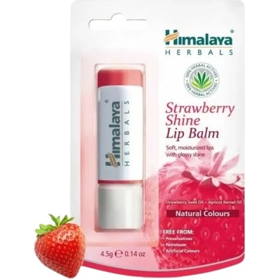 Himalaya Strawberry Shine Lip Balm / Балсам за устни Ягодов блясък [4.5 грама]