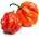 Люти чушки Скоч Бонет Scotch Bonnet