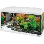 Ferplast Aquarium Capri 80 LED WHITE - Аквариум с пълно оборудване, филтър и LED осветление - 680 x 31, 5 x h 46, 5 см - 100 литра. , бял