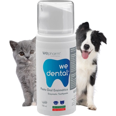 WePharm Wdental Enzymatická pasta 100 ml – Zboží Mobilmania