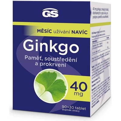GS Ginkgo 40 mg 90+30 tablet