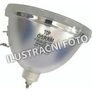 Lampa do projektora Sharp AN-B10LP, Originálna lampa bez modulu