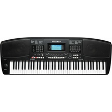 Kurzweil KP300 X