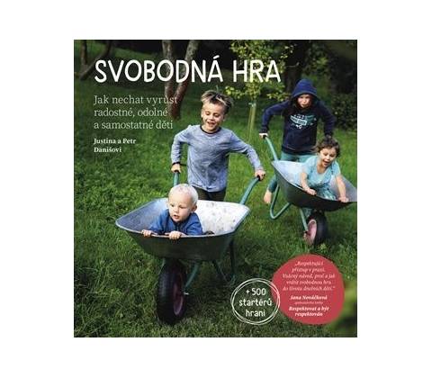 Svobodná hra