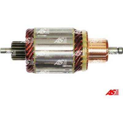 AS-PL Kotva, startér Brand new AS-PL Starter brush h SA0099