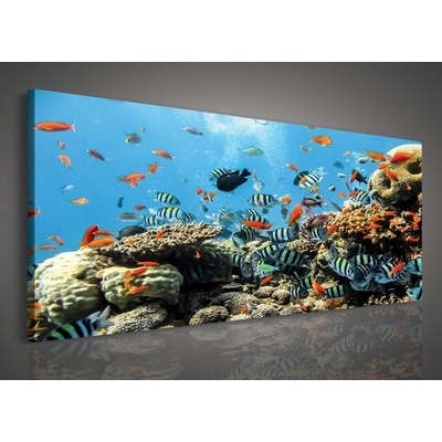 Consalnet Obraz na plátně: Korálový útes - 145x45 cm