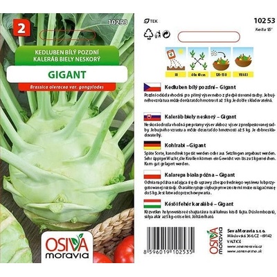Kedluben GIGANT