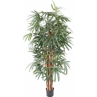 Umělá Rhapis palma deluxe, přírodní kmeny, 170cm