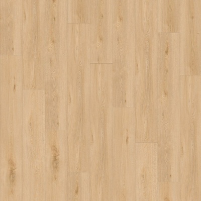 Gerflor Creation 40 Clic Acoustic 1704 Aquinoah Blond 1,84 m²