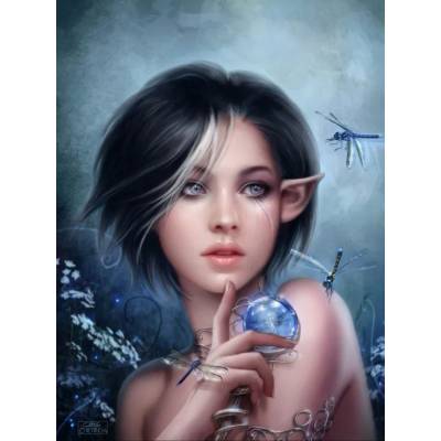 Grafika - Puzzle Ortega: The Curse of the Dragonfly II - 2 000 piese