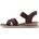 Skechers Desert Kiss-Golden Lily