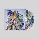 Wilco Cousin CD