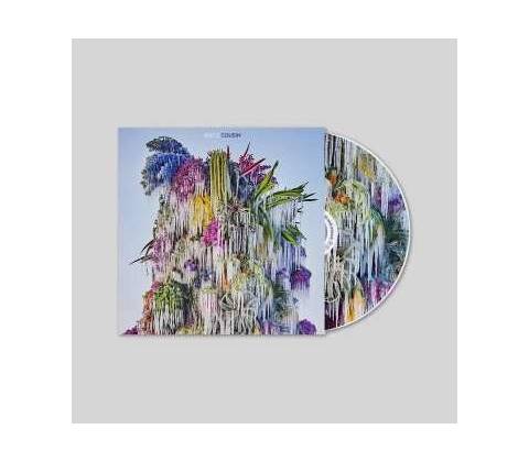 Wilco Cousin CD
