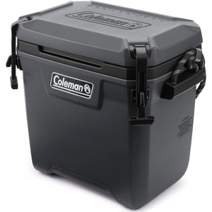 Coleman Convoy 28QT (2193723)