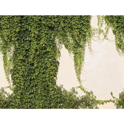 392271 Vliesový panel The Wall, rozmery 371 x 280 cm