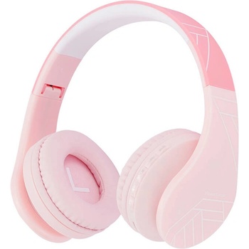 PowerLocus P1