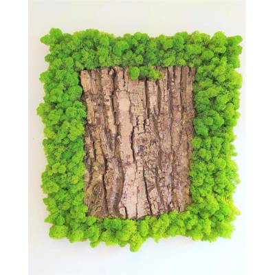 Mechový obraz s kůrou 50cm x 50cm
