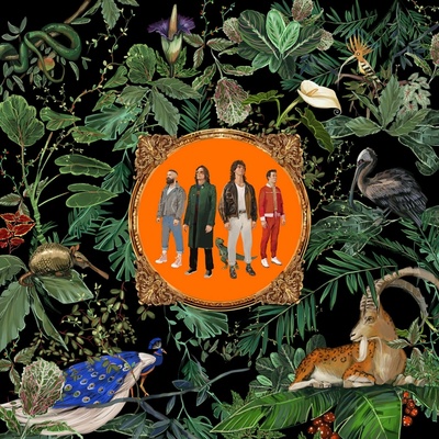 Don Broco - Amazing Things Vinyl LP